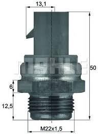 Fan Müşürü