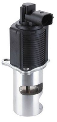 Egr Valfi
