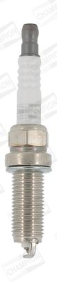 Platinum Buji