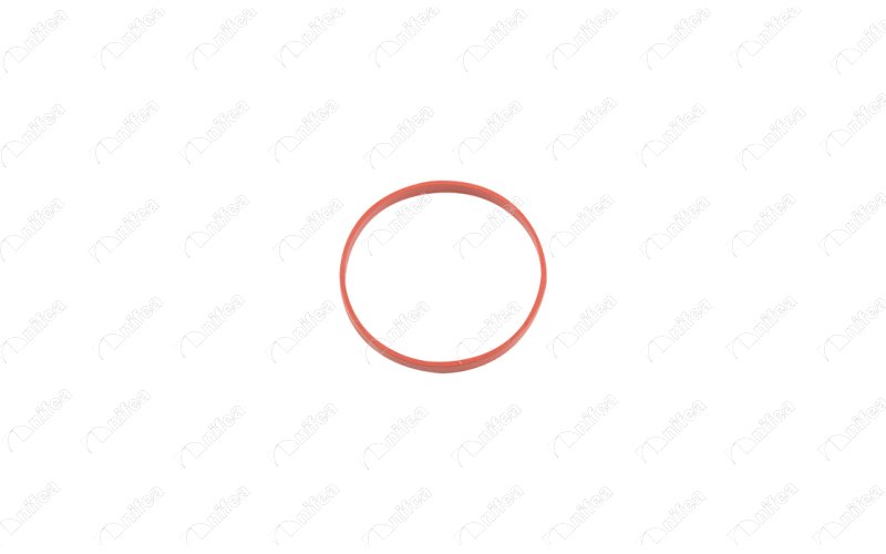 Emme Manifold Contası