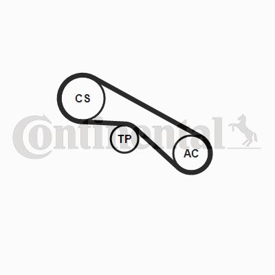 5PK875K1 Multi V-belt Kit