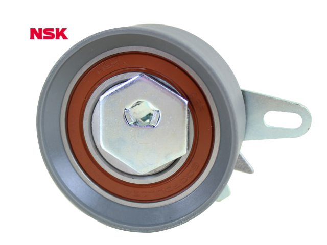 Eksantrik Gergi Rulmanı