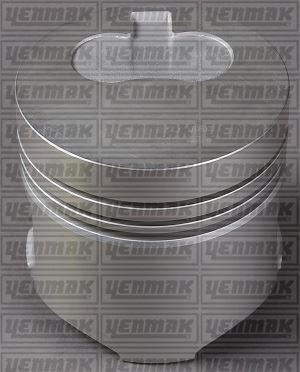 Motor Piston+segman Partner-berlingo 1.9 Dzl DW8