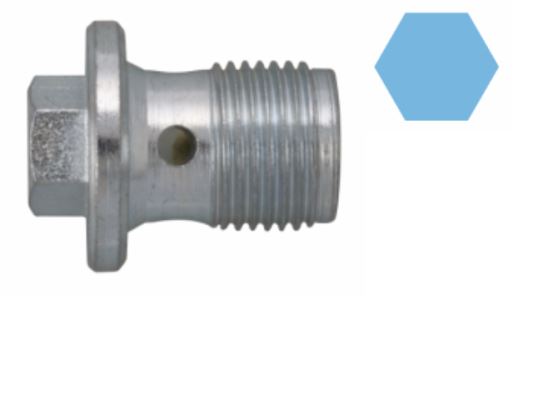 Motor Yağ Karter Tapası