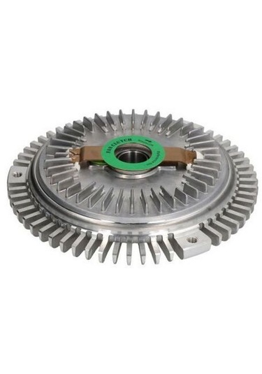 Fan Termigi