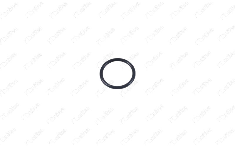 Termostat Gövde Contası (Oringi) P207-P208-P308-P5...