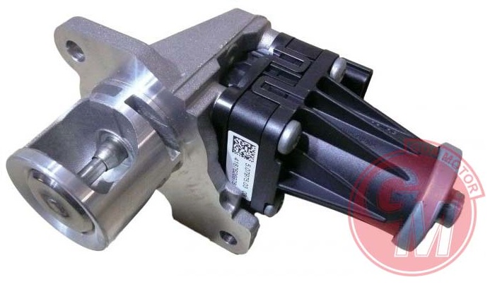 Egr Valfi