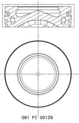 Piston + Segman