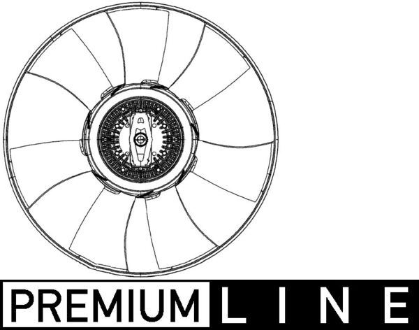 Fan Termigi