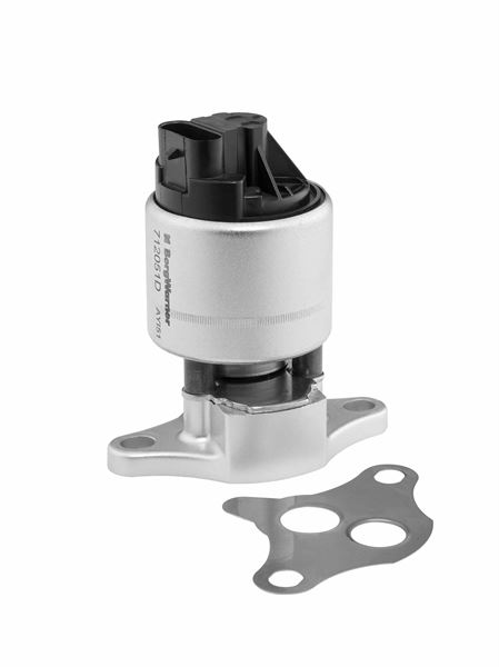 Egr Valfi