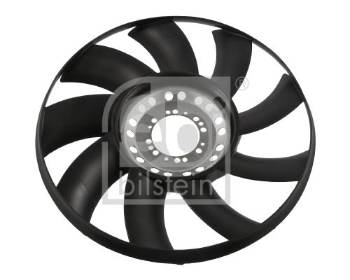 Fan Göbeği