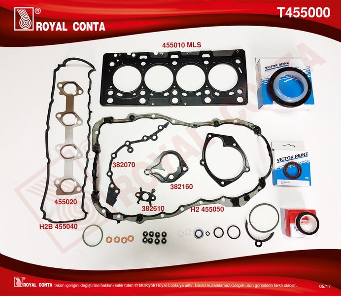 Motor Takım Conta (Reinz Keçe+subap Las) Mgn Ii-cl...