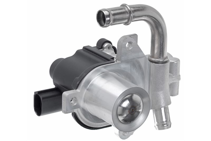 Egr Valfi
