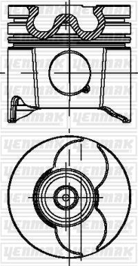 Piston+segman (Std 85mm) P206-P306-P307-P406-P607-...