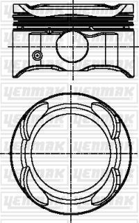 Piston + Segman