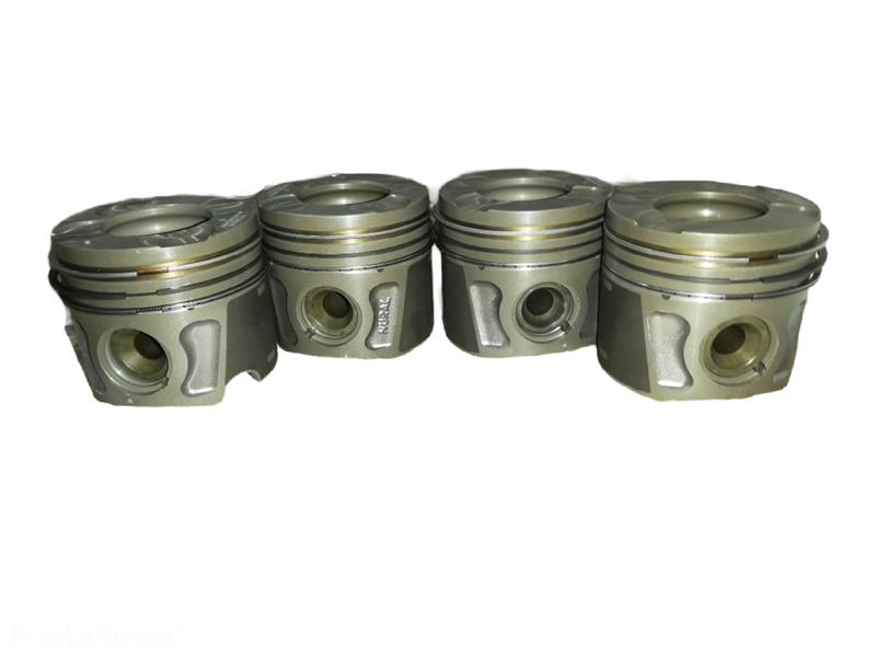 Piston+segman