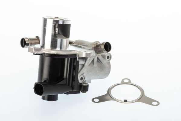 Egr Valfi