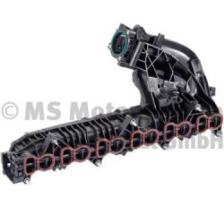 Manifold Emme
