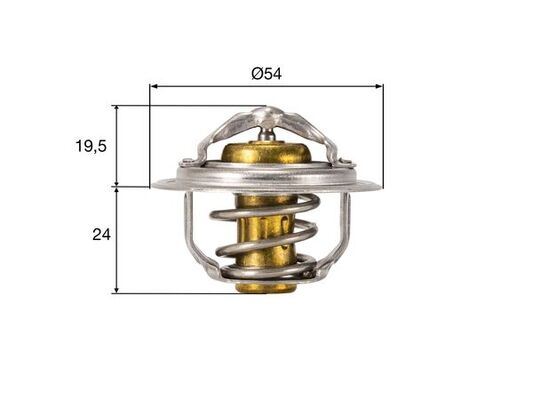 Termostat Thermostat Insert