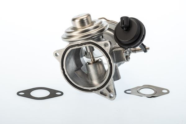 Egr Valfi