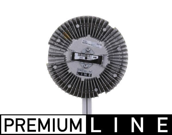 Fan Termigi