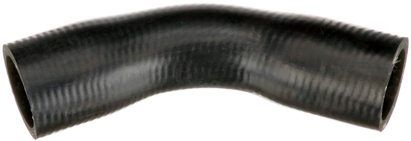 Termostat Hortumu