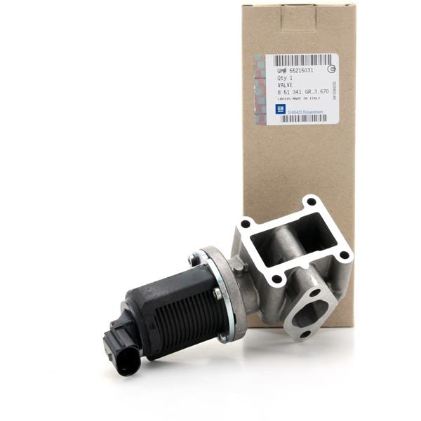 Egr Valfi