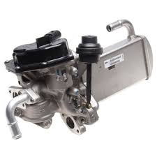 Egr Valfi