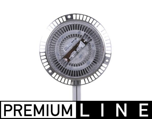 Fan Termigi