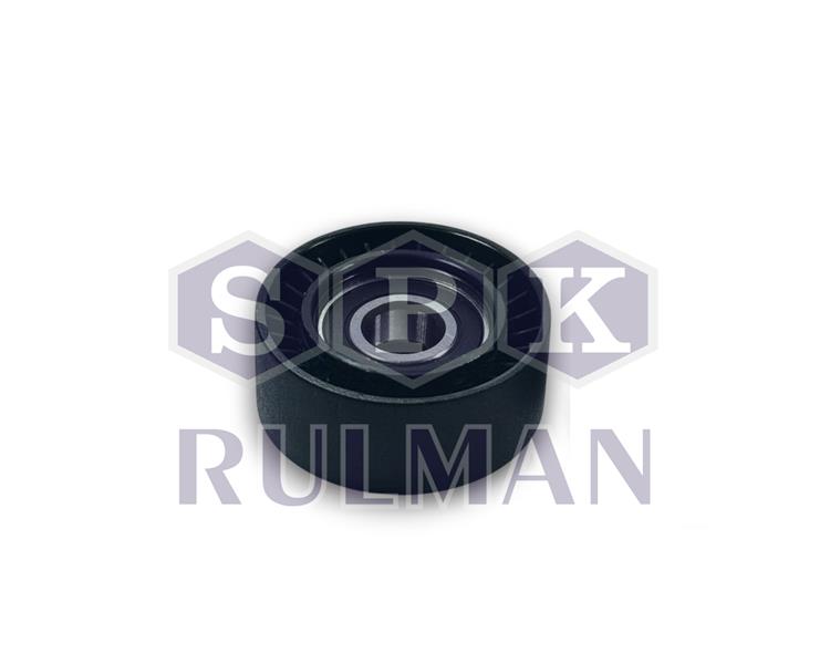 Alternatör Gergi Rulmanı
