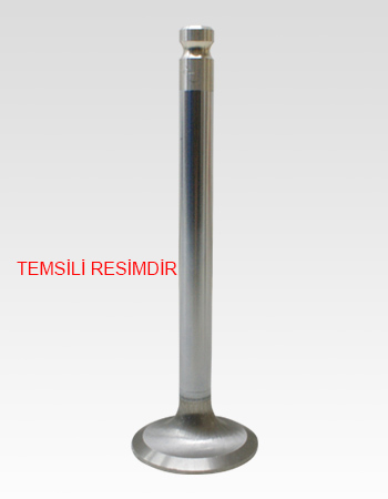 (X) Subap Emme+egzoz