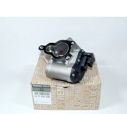 Egr Valfi
