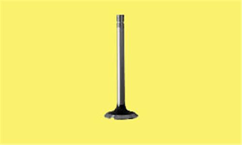 Subap Emme+egzoz C3-P107-P207-P307 1.4i 16V