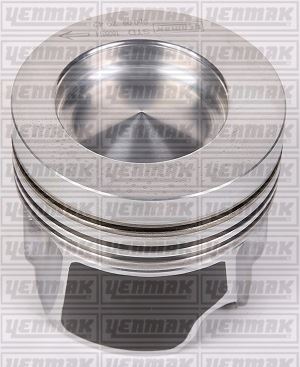 MOTOR PİSTON+SEGMAN STD (79.50) GOLF-A3-LEON-OCTAVIA 1.6TDİ 10=> (CLHA-CLHB-CRKA-CRKB-CXXA)