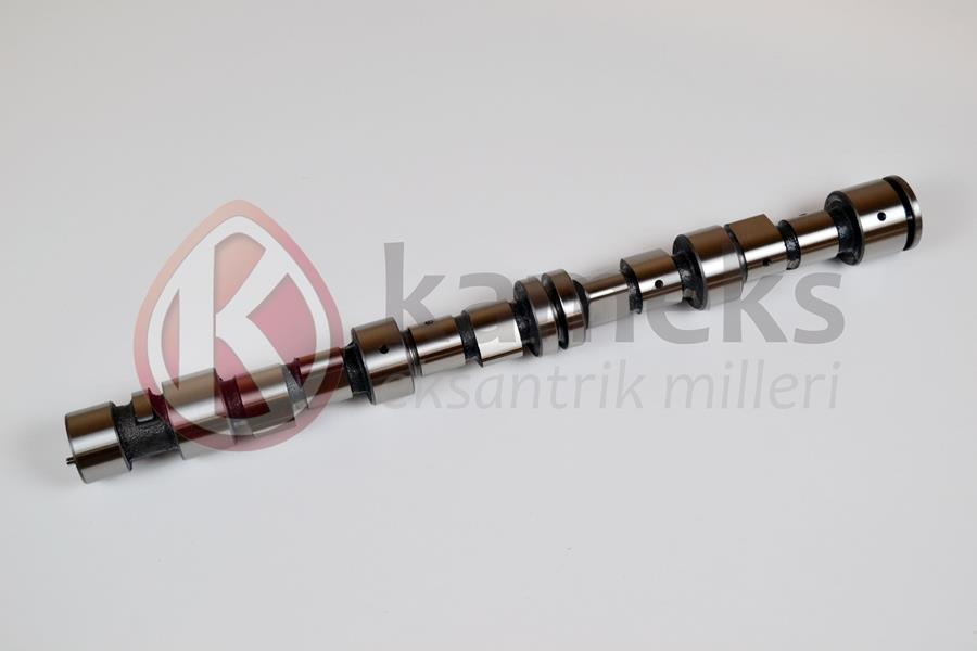 Eksantrik Mili