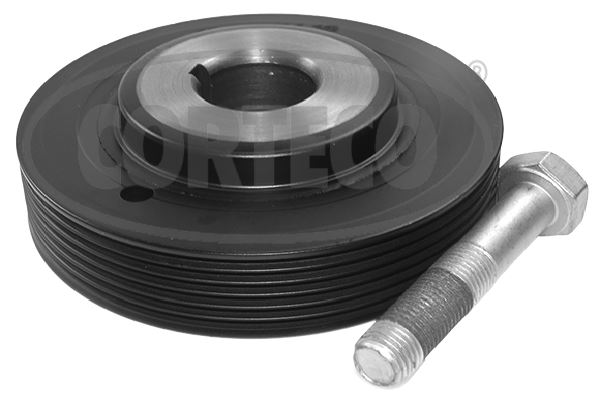 Krank Kasnağı (Kit) P306-P406-XANTIA-XSARA-ZX 1.8-...