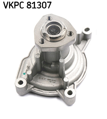 Su Pompası Vkpc 81307
