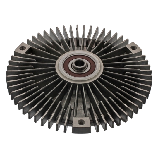 Fan Termigi