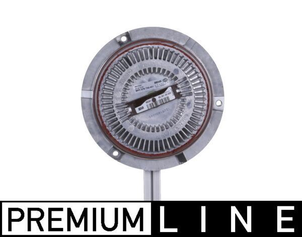 Fan Termigi