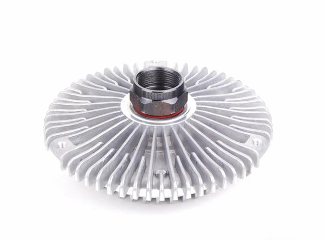 Fan Termigi