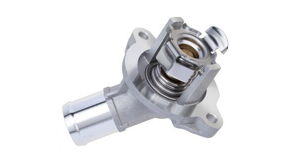 Termostat Komple