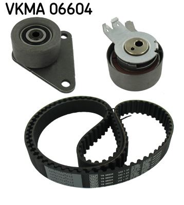EKSANTRİK GERGİ KİTİ (142x230) LAGUNA 2.0 16V (95-01)-SAFRANE II 2.0 (96-00) -VOLVO S40 99-04 K015509XS