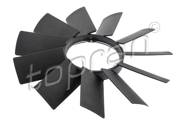 Fan Pervanesi