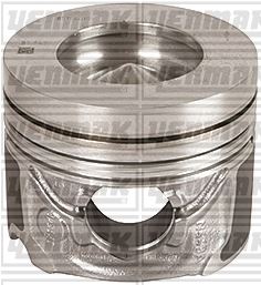 Motor Piston+segman 118D . 218D . 318D . 418D / B...