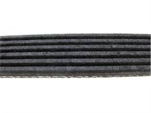 Kanallı Kayış P208-P308-P508-P3008-P5008-EXPERT-JU...