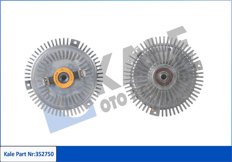 Fan Termigi