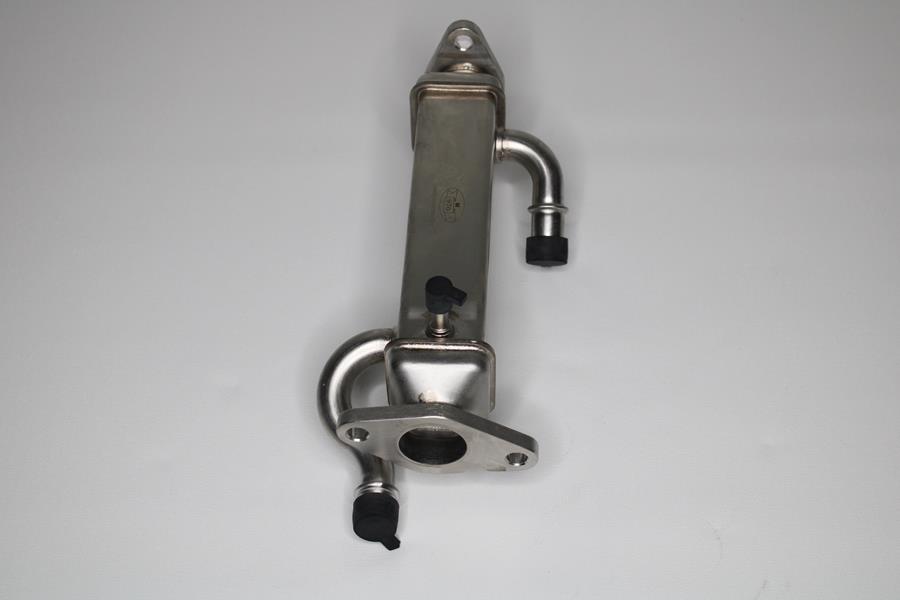 Egr Valfi
