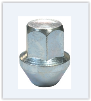Bijon Somunu Sabit Pullu