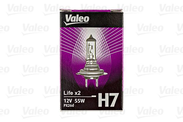 H7 Ampul Karton Kutu