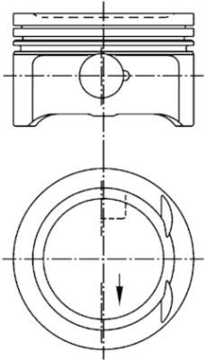 Piston + Segman Std.